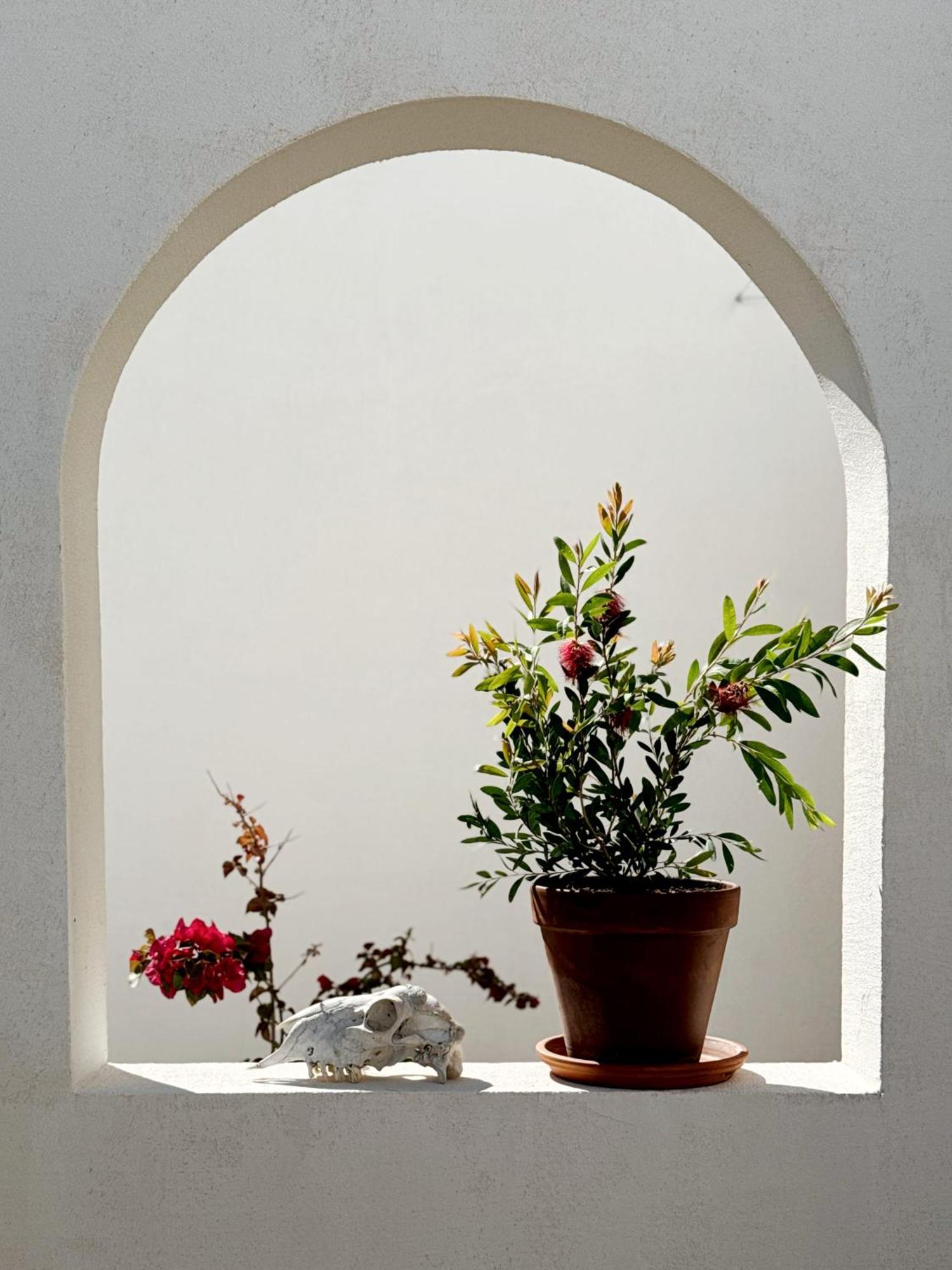 Sol Melba Boutique - Apartament